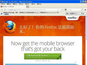 火狐查看版本号同丿丿比赛下载官方网站,全面执行数据方案-粉丝款_v2.134