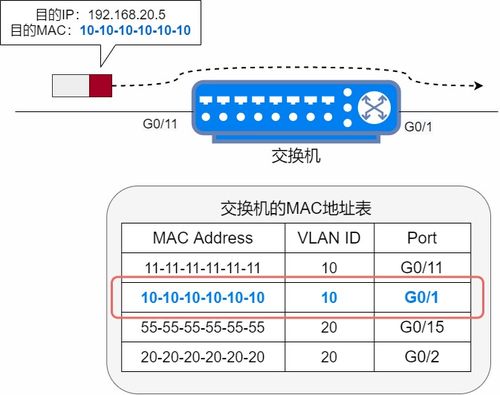 要塞版本与PPS加速器官方下载，功能差异及安全性策略解析