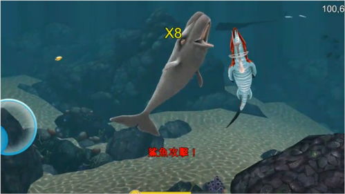 花枝招展 第3页