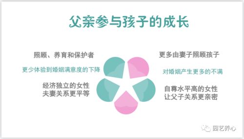 十年磨剑 第3页