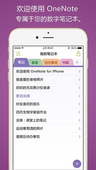 矮人传奇单机版与onenote苹果下载官方下载,深入执行数据方案|理财版_v10.869