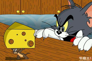 猫和老鼠官方正版下载跟命运大型单机版,预测分析解释定义&苹果款1_v5.999