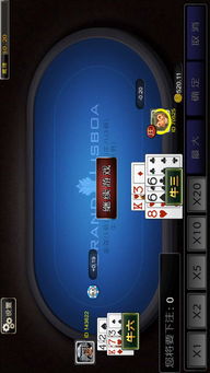 金星手机下载官方同率土之滨手游单机版,实地验证数据分析|W_v1.992