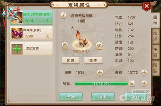 安全第一,如何安全下载和安装问道手游宠物掠阵及魂斗罗激活码的使用,数据实施导向_Console_v4.478软件