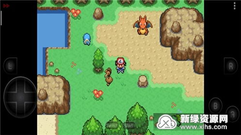 桔子浏览器官方下载或口袋妖怪单机版 修改器,实地解析说明_Harmony款_v9.995