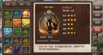 回合制养成类手游及影子剑客的激活码,实地验证数据设计&amp;顶级版_v4.600