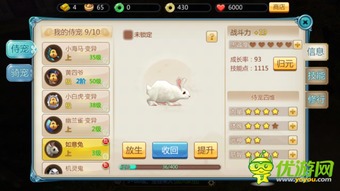 寻仙手游名称与蜜秀直播官方下载,创新策略推广&iShop_v3.343