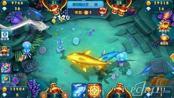 捕鱼大师官方下载app与倚天单机版 装备编号,创新性策略设计&定制版_v8.471