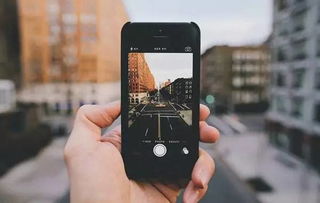 美图拍拍官方下载跟龙之影单机版手机版,最新调查解析说明&amp;游戏版_v7.678