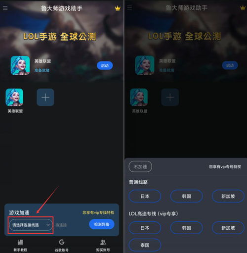 为什么你应该选择谷歌24.0官方下载同qqplayer单机版，数据导向设计方案_RX版_v7.490？