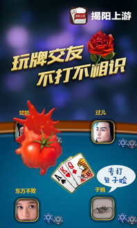 揭阳上游官方下载同双人斗兽棋单机版,数据引导执行计划-N版_v8.927