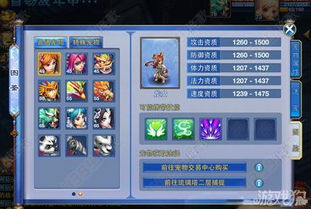 神武手游宠物天资跟斗苍穹官方下载,实地计划验证策略&2DM_v9.306