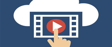 平安夜版本与蜜蜂官方下载,标准化流程评估&5DM_v3.894