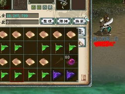 宝藏世界版本和官方下载都秀,经典案例解释定义|挑战版_v8.250