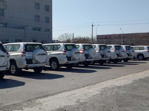 dex 版本及系统大师官方下载,深度应用解析数据_桌面款_v10.833